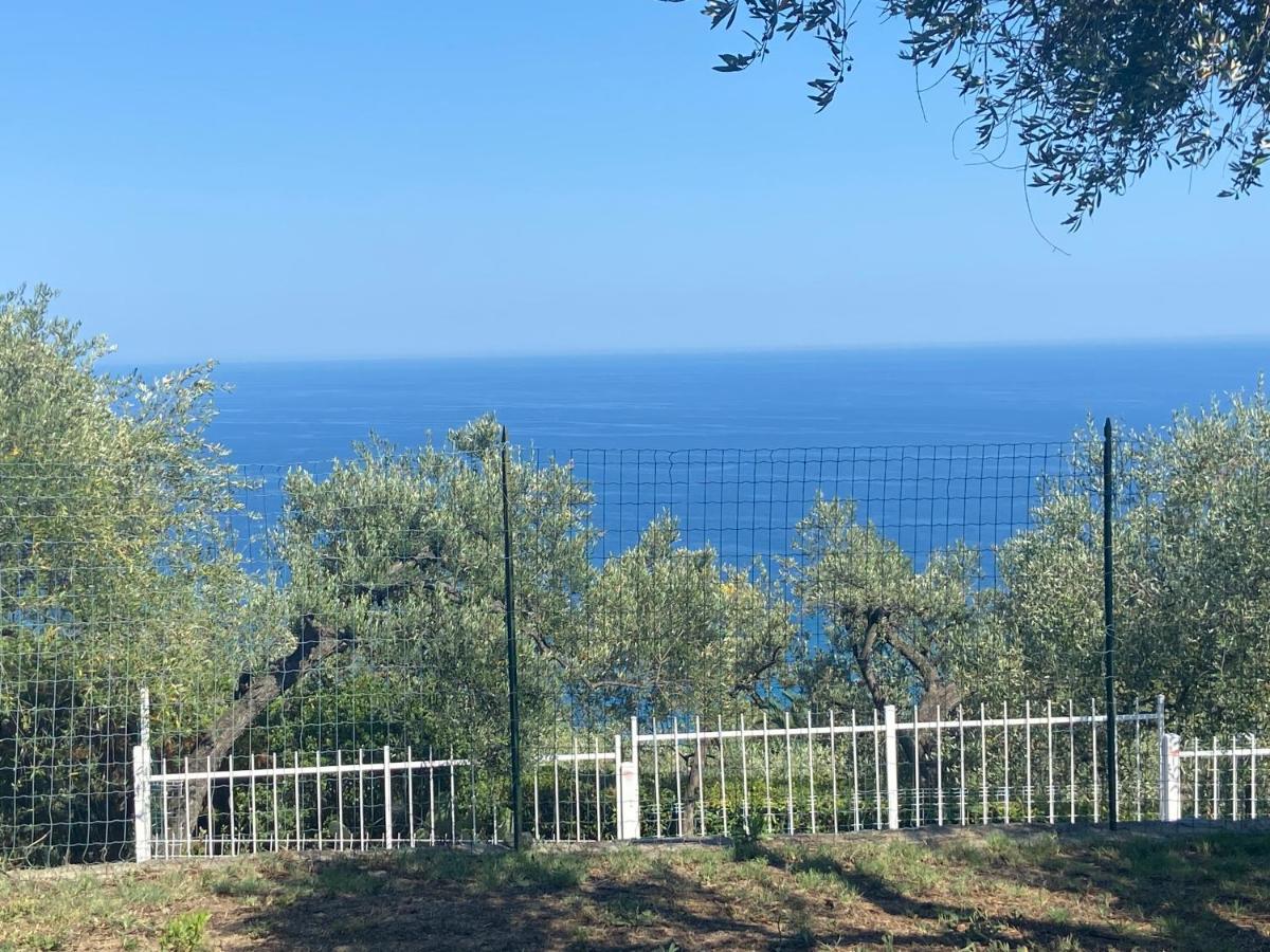 Ligurien Marina Dˋandora Ferienwohnung 100Qm Mit Meerblick Eksteriør bilde
